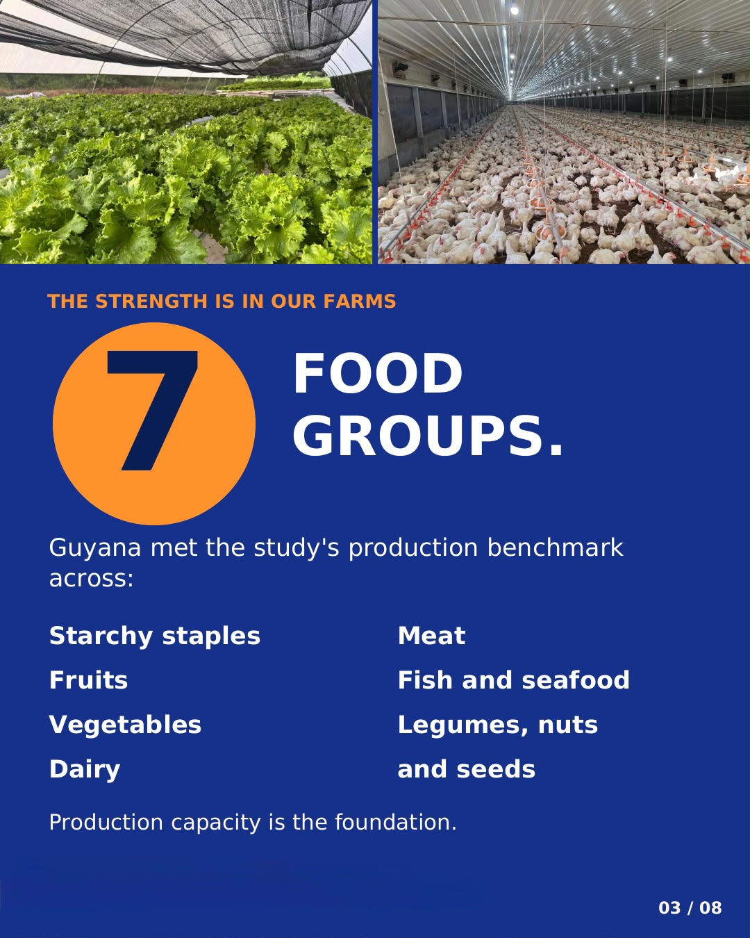 The strength is in our farms. 7 food groups. Guyana met the study’s production benchmark across: starchy staples, fruits, vegetables, dairy, meat, fish and seafood, and legumes, nuts and seeds. Production capacity is the foundation. Photos: lettuce growing in a shade house, and a poultry house.